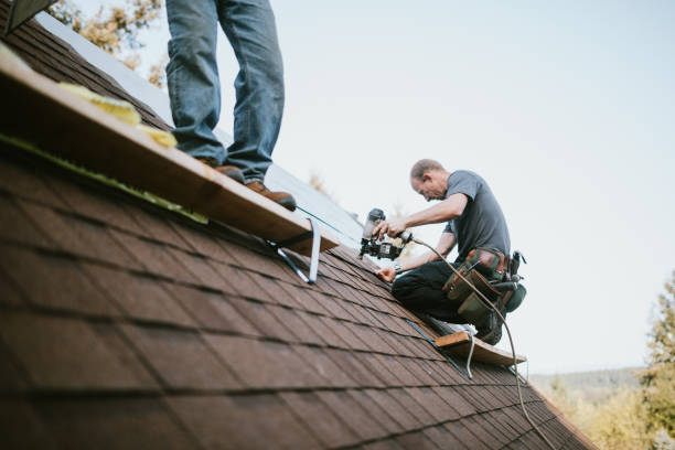 Quick and Trustworthy Emergency Roof Repair Services in Stafford, OR